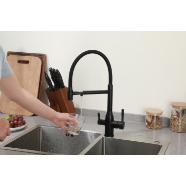 Смеситель для кухонной мойки Frap F4398-6 под фильтр 