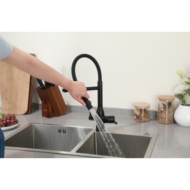 Смеситель для кухонной мойки Frap F4398-6 под фильтр 