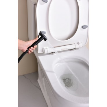 Смеситель встраиваемый с гигиеническим душем GANZER GZ19157-С Чёрный