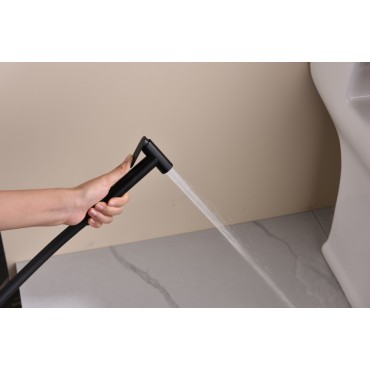 Смеситель встраиваемый с гигиеническим душем GANZER GZ19157-С Чёрный