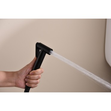 Смеситель встраиваемый с гигиеническим душем GANZER GZ19157-С Чёрный