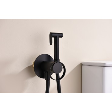 Смеситель встраиваемый с гигиеническим душем GANZER GZ19157-С Чёрный