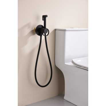 Смеситель встраиваемый с гигиеническим душем GANZER GZ19157-С Чёрный