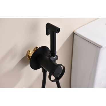 Смеситель встраиваемый с гигиеническим душем GANZER GZ19157-С Чёрный