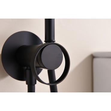 Смеситель встраиваемый с гигиеническим душем GANZER GZ19157-С Чёрный