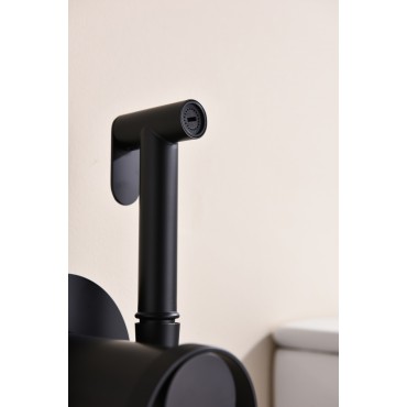 Смеситель встраиваемый с гигиеническим душем GANZER GZ19157-С Чёрный