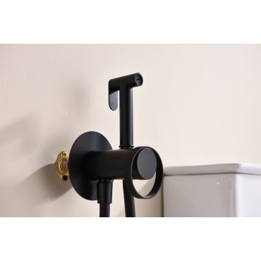 Смеситель встраиваемый с гигиеническим душем GANZER GZ19157-С Чёрный