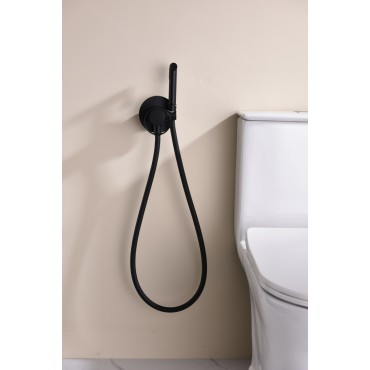 Смеситель встраиваемый с гигиеническим душем GANZER GZ19157-С Чёрный