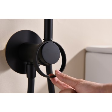 Смеситель встраиваемый с гигиеническим душем GANZER GZ19157-С Чёрный