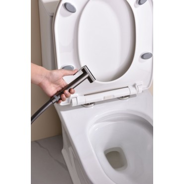 Смеситель встраиваемый с гигиеническим душем GANZER GZ19157-Q Оружейная сталь