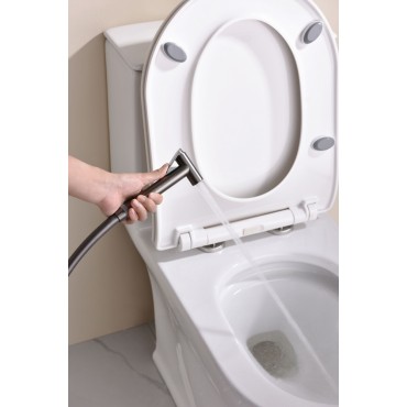 Смеситель встраиваемый с гигиеническим душем GANZER GZ19157-Q Оружейная сталь