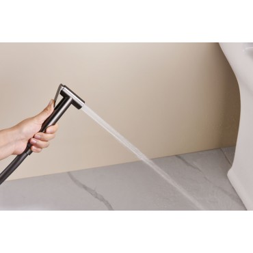 Смеситель встраиваемый с гигиеническим душем GANZER GZ19157-Q Оружейная сталь