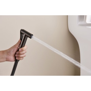 Смеситель встраиваемый с гигиеническим душем GANZER GZ19157-Q Оружейная сталь