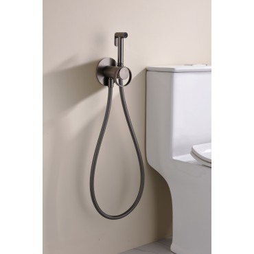 Смеситель встраиваемый с гигиеническим душем GANZER GZ19157-Q Оружейная сталь