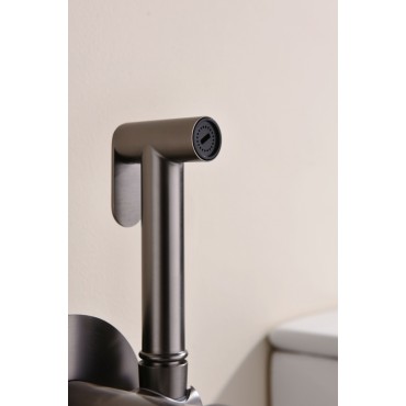 Смеситель встраиваемый с гигиеническим душем GANZER GZ19157-Q Оружейная сталь