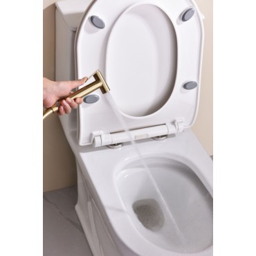 Смеситель встраиваемый с гигиеническим душем GANZER GZ19157-S Матовое золото