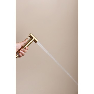 Смеситель встраиваемый с гигиеническим душем GANZER GZ19157-S Матовое золото