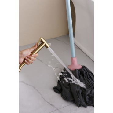 Смеситель встраиваемый с гигиеническим душем GANZER GZ19157-S Матовое золото