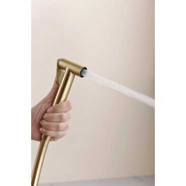 Смеситель встраиваемый с гигиеническим душем GANZER GZ19157-S Матовое золото