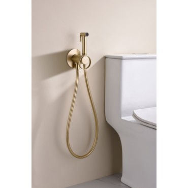 Смеситель встраиваемый с гигиеническим душем GANZER GZ19157-S Матовое золото