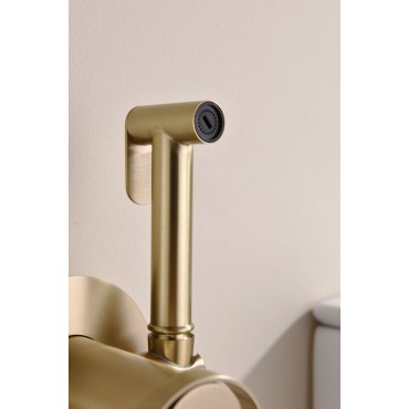 Смеситель встраиваемый с гигиеническим душем GANZER GZ19157-S Матовое золото