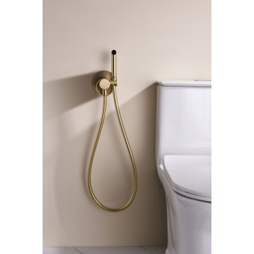 Смеситель встраиваемый с гигиеническим душем GANZER GZ19157-S Матовое золото