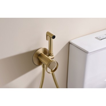 Смеситель встраиваемый с гигиеническим душем GANZER GZ19157-S Матовое золото