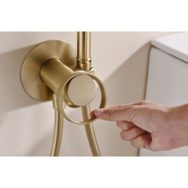 Смеситель встраиваемый с гигиеническим душем GANZER GZ19157-S Матовое золото