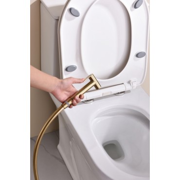 Смеситель встраиваемый с гигиеническим душем GANZER GZ19157-S Матовое золото