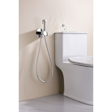 Смеситель встраиваемый с гигиеническим душем GANZER GZ19157 хром