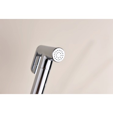 Смеситель встраиваемый с гигиеническим душем GANZER GZ19157 хром