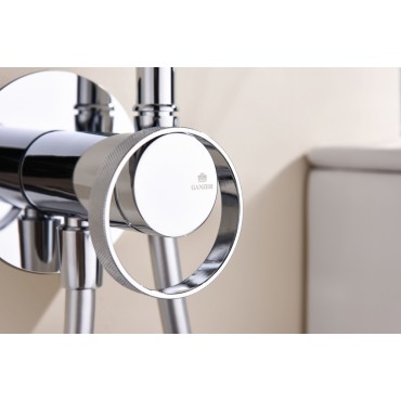 Смеситель встраиваемый с гигиеническим душем GANZER GZ19157 хром