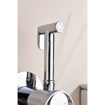 Смеситель встраиваемый с гигиеническим душем GANZER GZ19157 хром