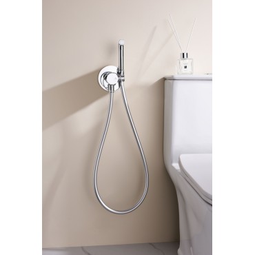 Смеситель встраиваемый с гигиеническим душем GANZER GZ19157 хром