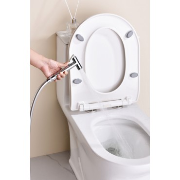 Смеситель встраиваемый с гигиеническим душем GANZER GZ19157 хром