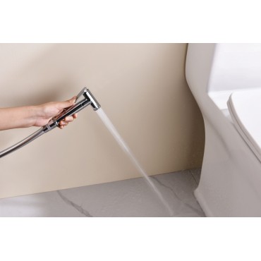 Смеситель встраиваемый с гигиеническим душем GANZER GZ19157 хром