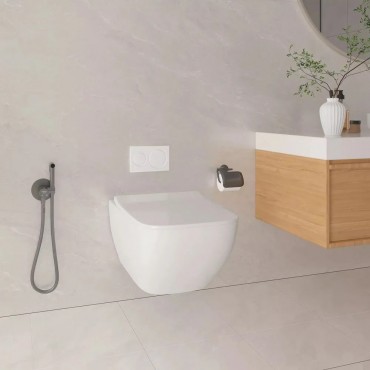 Смеситель Для Псевдо Биде Vieir 403553-G С Гигиеническим Душем